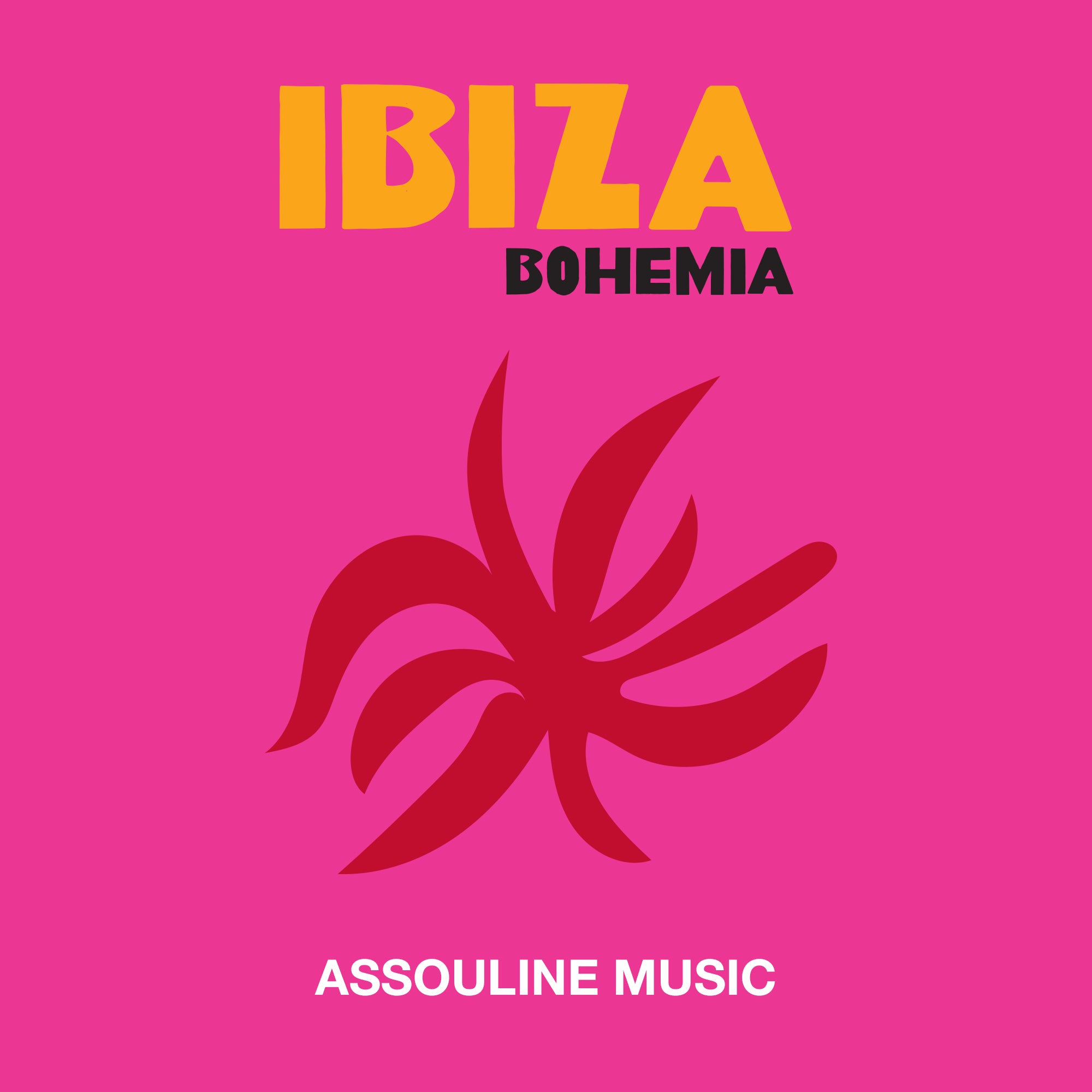 Ibiza hot Bohemia Book