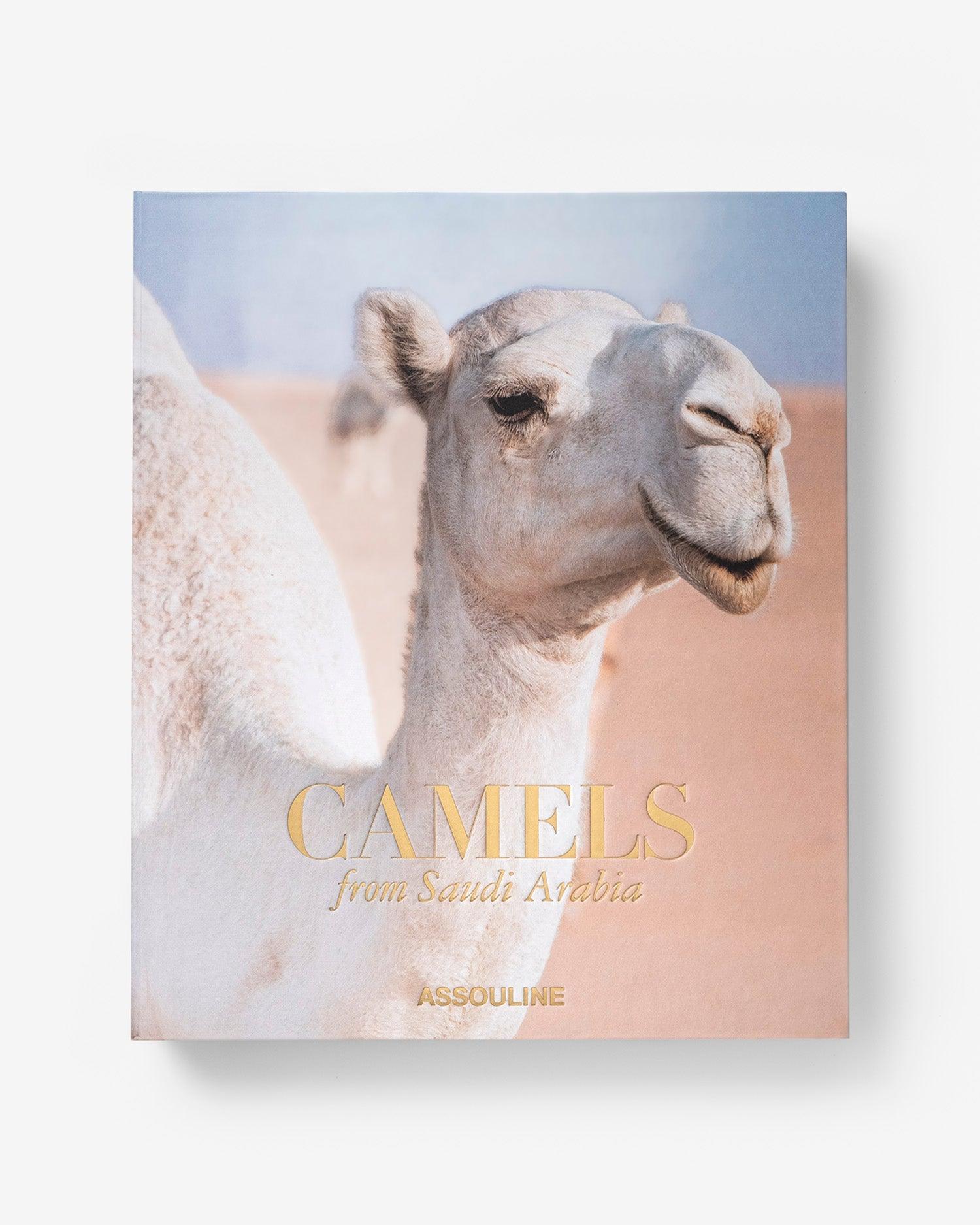 Camels from Saudi Arabia Coffee Table Book ASSOULINE