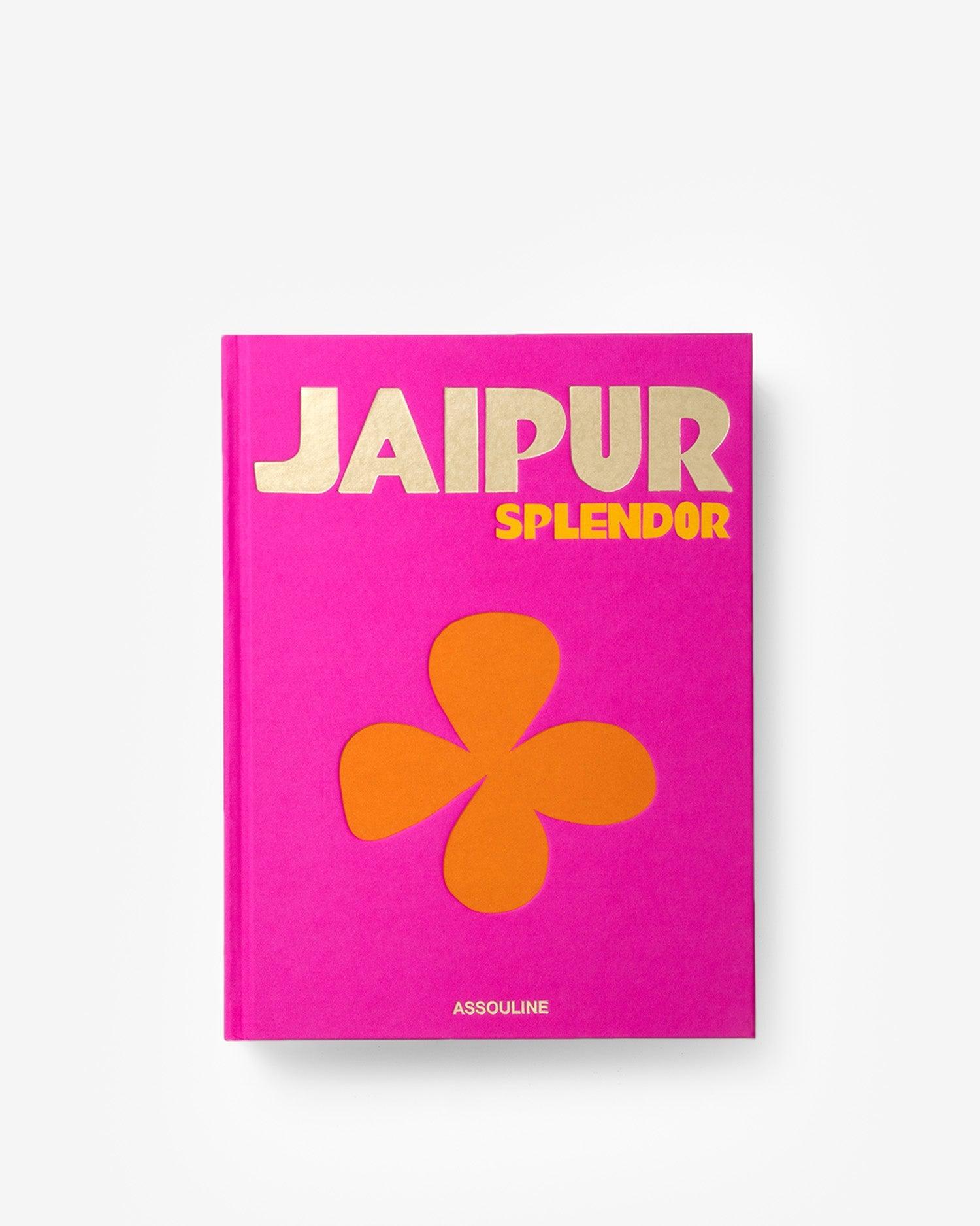 Explore the Vibrant Logo of Jaipur National University